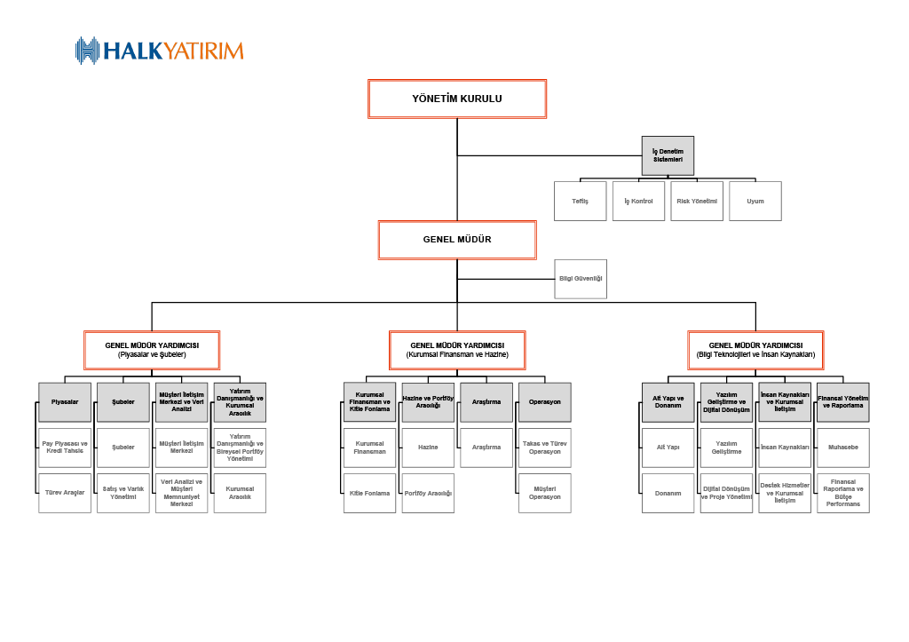 organizasyon yapısı