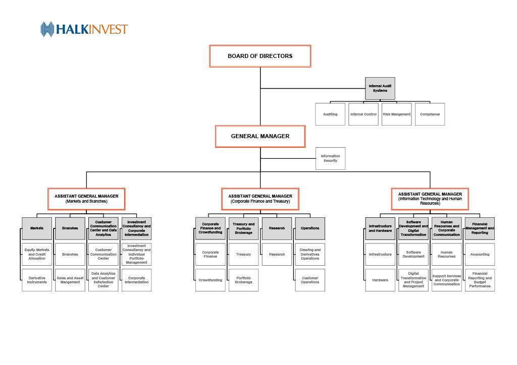 organizasyon yapısı